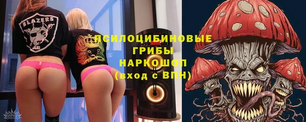 дмт Горно-Алтайск