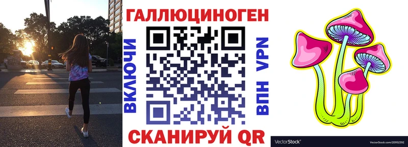 где найти   Заинск  Псилоцибиновые грибы Magic Shrooms 